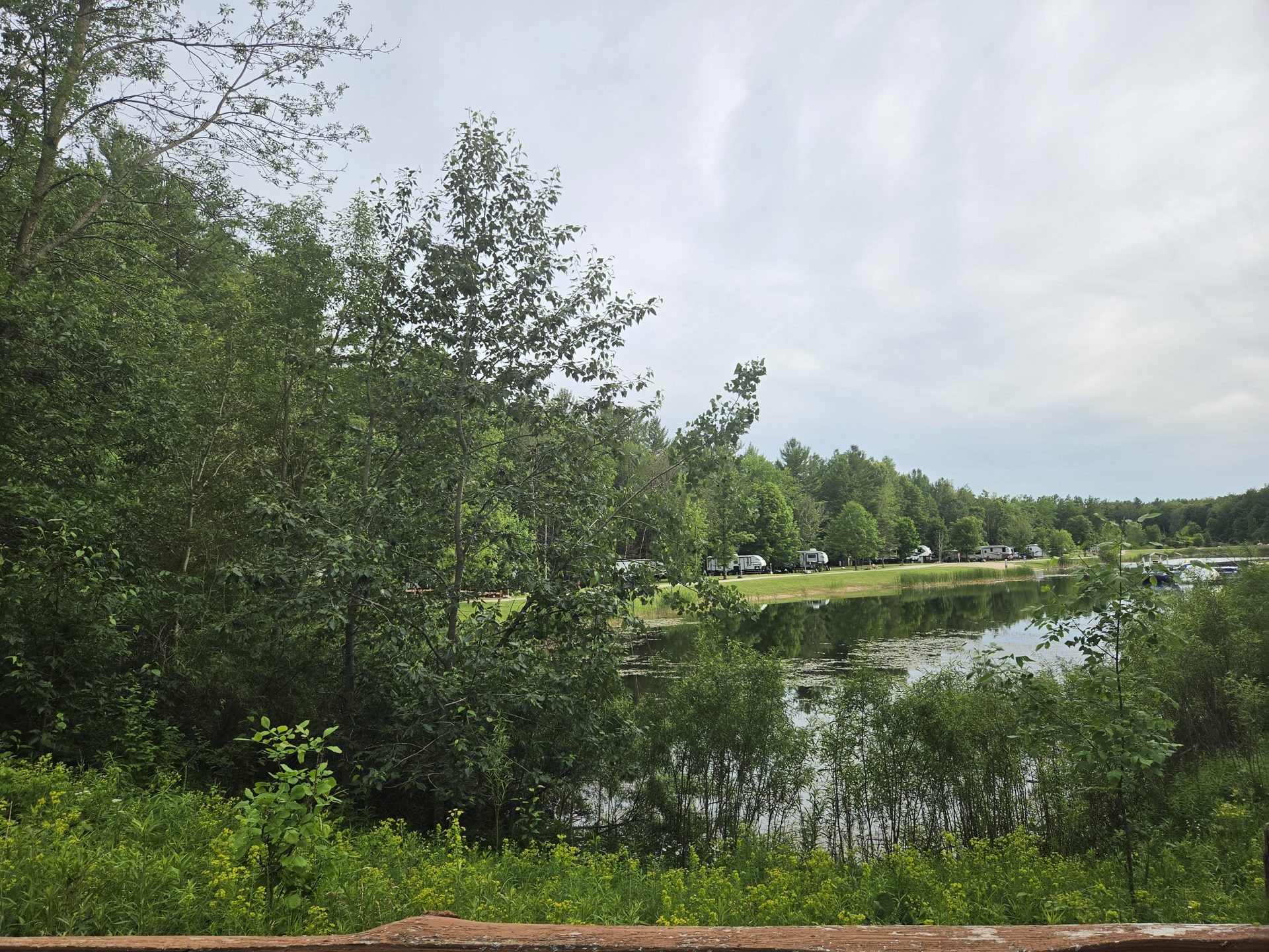 View of the lake through Northwoods pine trees
