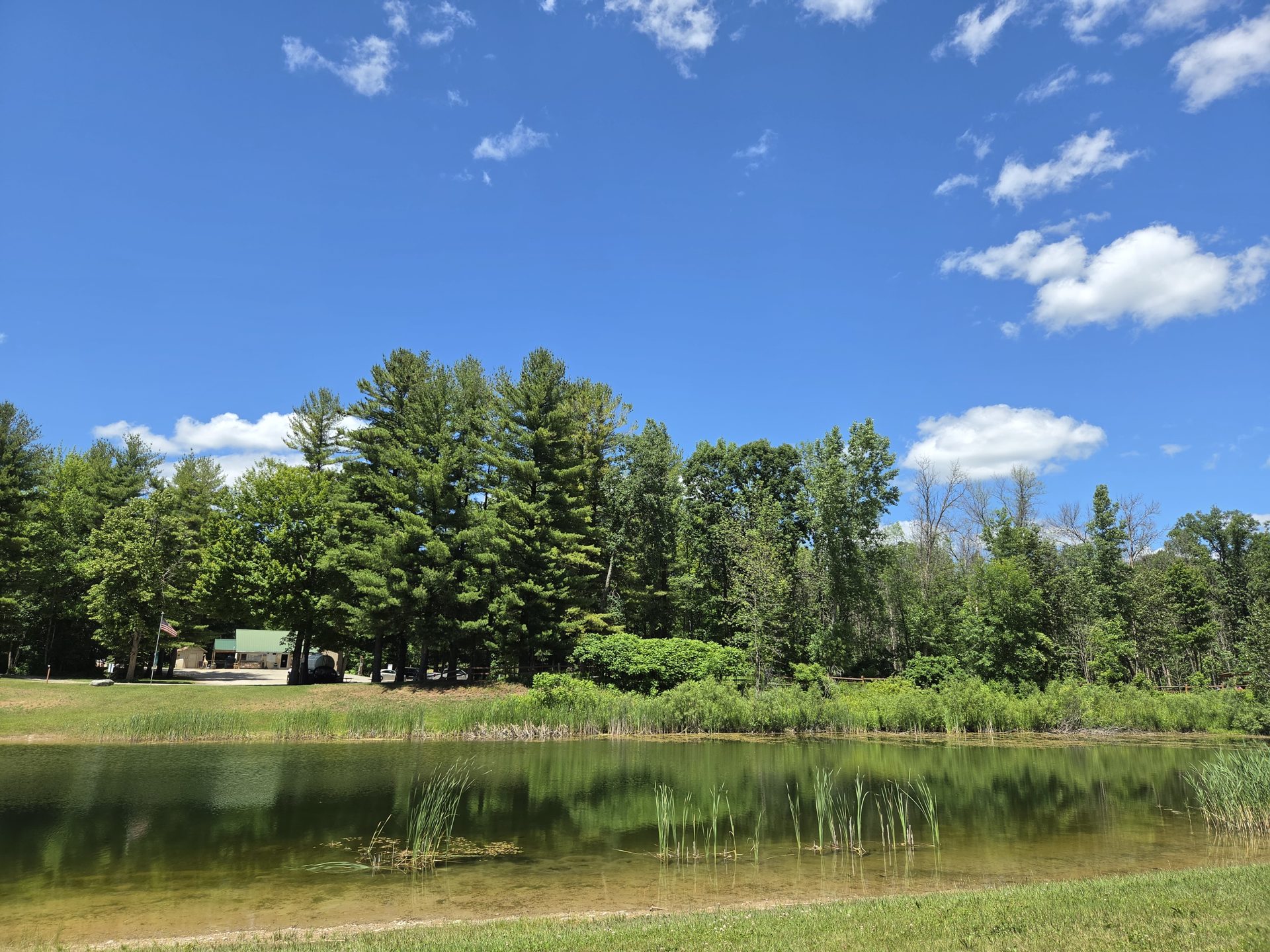 Tall pines reflected in the calm private lake