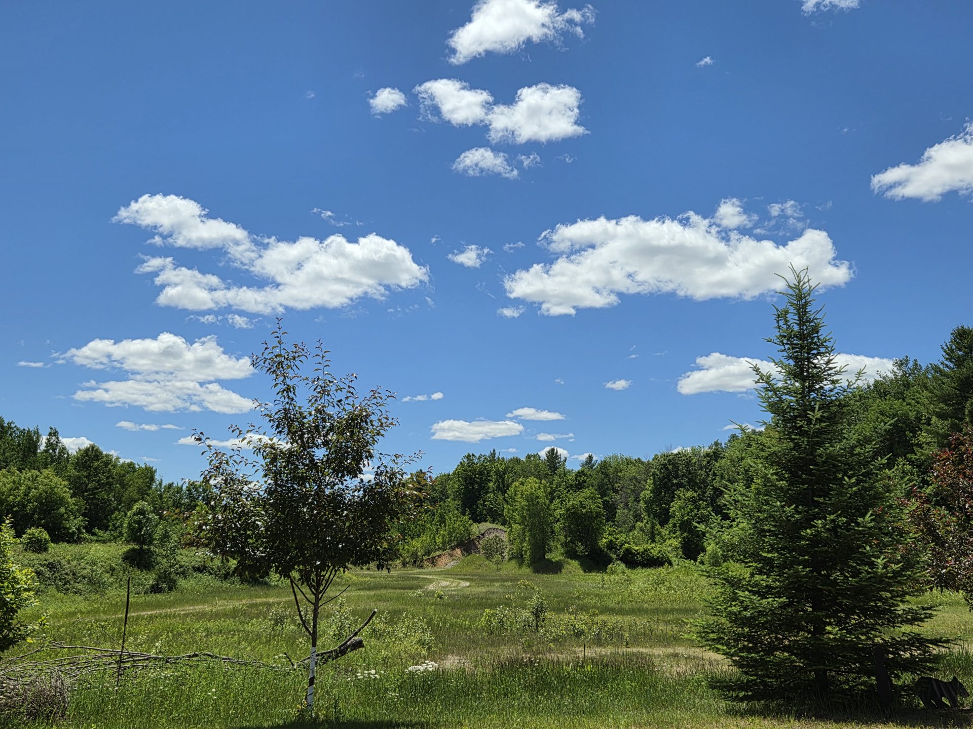 Forgotten Fire Winery (Peshtigo)